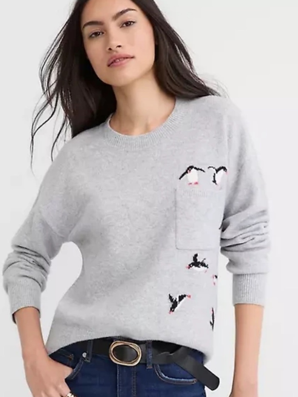 LOFT Gray Speckled Penguin Pocket Crewneck Sweater. Size S, NWT